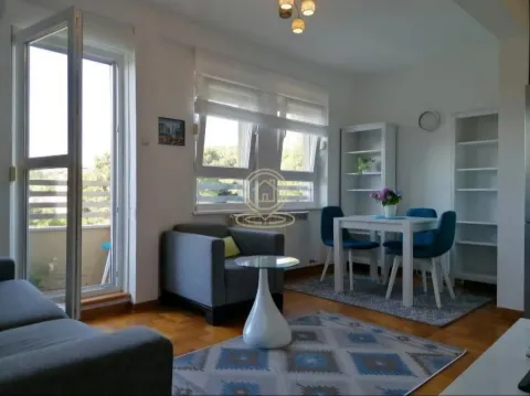 Izdavanje, dvosoban stan, 38m², Lion, Zvezdara Sve Podlokacije - image 3