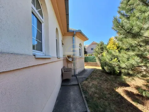 Sale, house, 338m², Tatarsko brdo, Petrovaradin - image 5