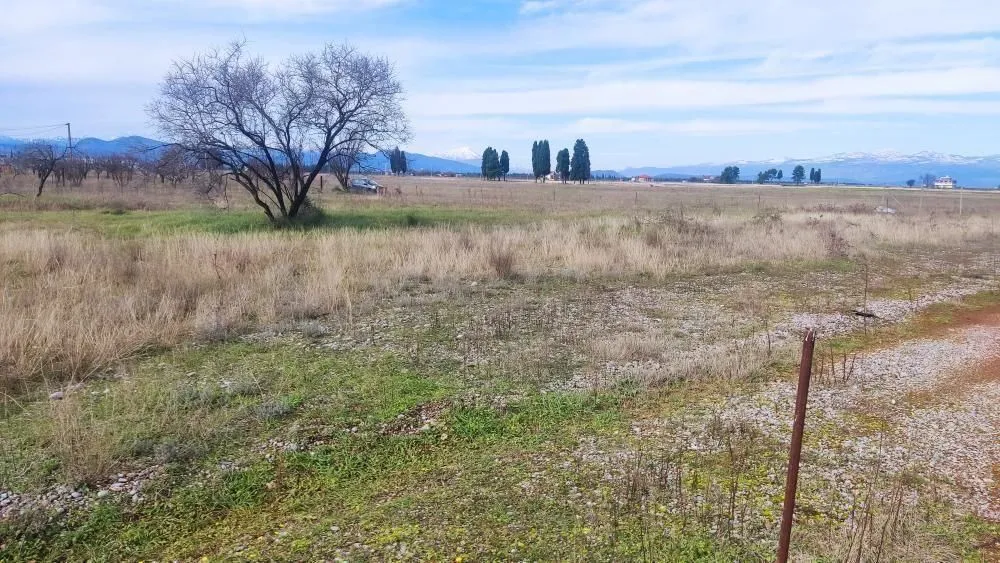 Prodaja, plac, 1500m², Zeta, Podgorica