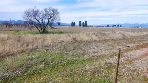 Prodaja, plac, 1500m², Zeta, Podgorica - image 2