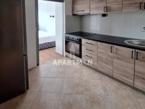 Rent, one bedroom apartment, 34m², Botanička Bašta, Palilula Sve Podlokacije - image 3