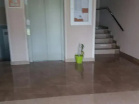 Izdavanje, jednosoban stan, 45m², Zabjelo, Podgorica - image 11