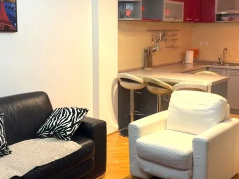 Izdavanje, jednosoban stan, 45m², Preko Morače, Podgorica - image 3