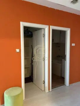 Rent, two bedroom apartment, 44m², Cvijićeva, Palilula Sve Podlokacije - image 15