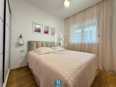 Izdavanje, jednosoban stan, 47m², Stari Aerodrom, Podgorica - image 8