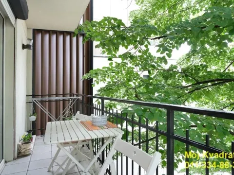 Prodaja, dvosoban stan, 54m², Kalenić Pijaca, Vračar Sve Podlokacije - image 14