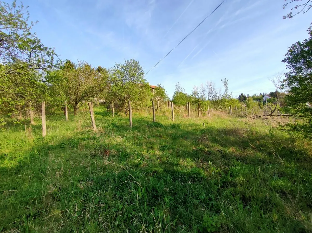 Prodaja, plac, 600m², Sremska Kamenica, Petrovaradin