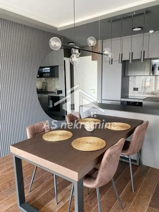 Izdavanje, dvosoban stan, 52m², Cvijićeva, Palilula Sve Podlokacije