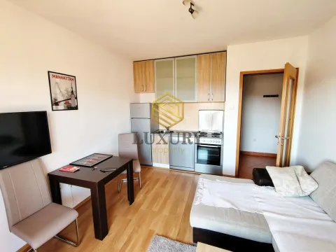 Rent, studio apartment, 28m², Zabjelo, Podgorica - image 3