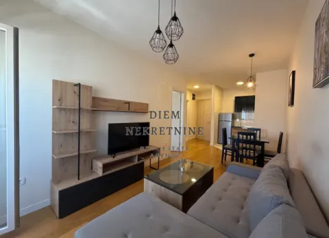Rent, one bedroom apartment, 43m², Central Point, Podgorica - image 10