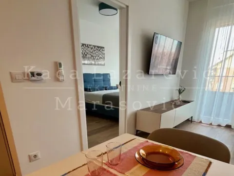 Izdavanje, dvosoban stan, 45m², Zemun Cara Dušana, Zemun Sve Podlokacije - image 6