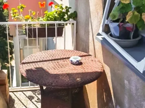 Izdavanje, jednosoban stan, 45m², Preko Morače, Podgorica - image 11