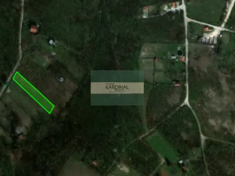 Prodaja, plac, 967m², Đurđevo brdo, Jagodina - image 3
