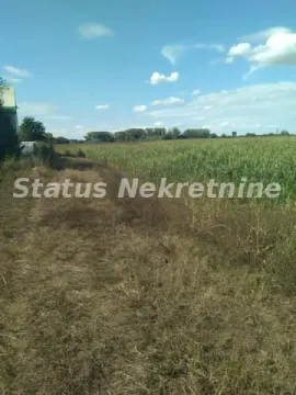 Pogled na zemljište sa zelenom površinom i travom. - image 6