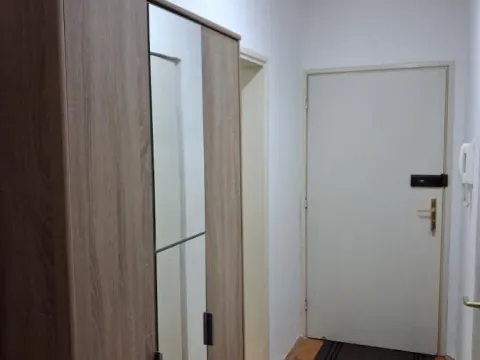 Izdavanje, jednosoban stan, 42m², Sajmište, Novi Sad - image 6