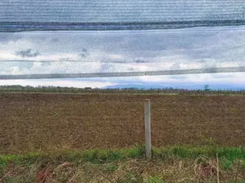 Sale, land lot, 10800m², Šabac, Srbija - image 7