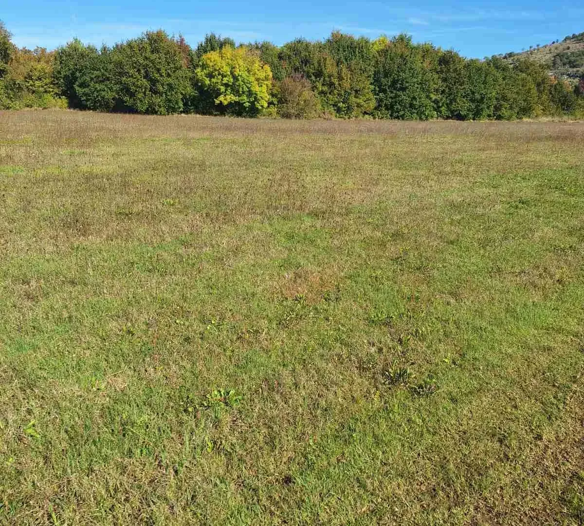 Prodaja, plac, 9000m², Podgorica, Crna Gora