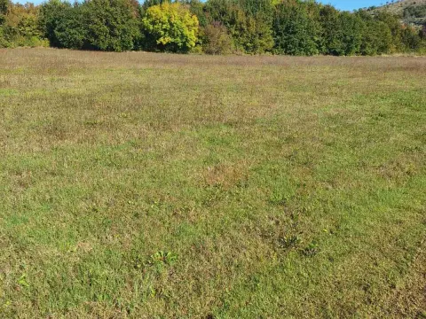 Prodaja, plac, 9000m², Podgorica, Crna Gora - image 4