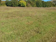 Sale, land lot, 9000m², Podgorica, Crna Gora - image 4