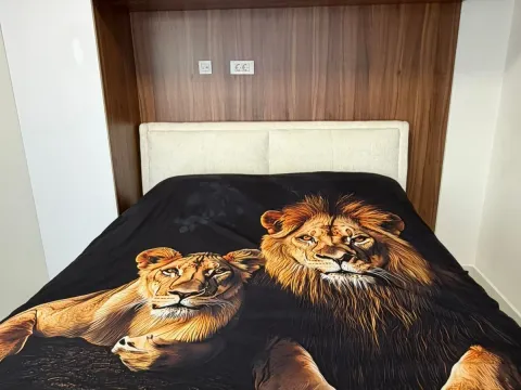 Rent, apartment, 37m², Zlatica, Podgorica - image 3