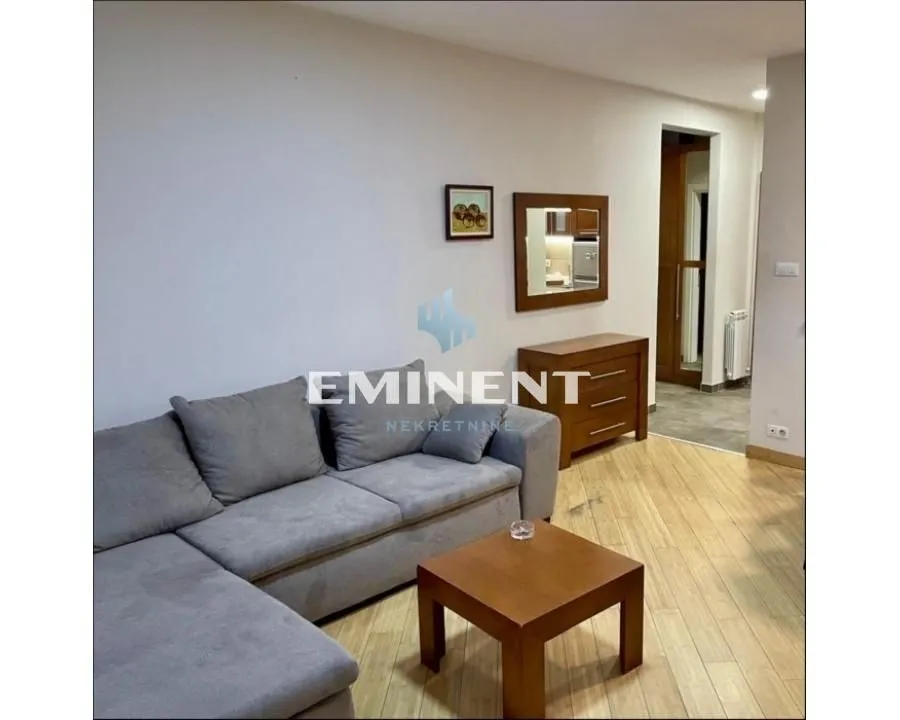 Izdavanje, dvosoban stan, 50m², Vračar Sve Podlokacije, Beograd
