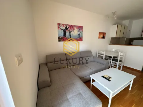 Izdavanje, jednosoban stan, 50m², Košutići, Andrijevica - image 11