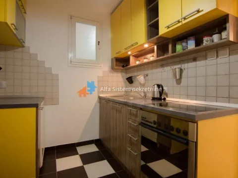 Izdavanje, dvosoban stan, 40m², Vračar Hram, Vračar Sve Podlokacije - image 14