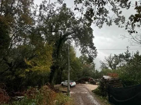 Sale, land lot, 2800m², Orahovac, Kotor - image 3