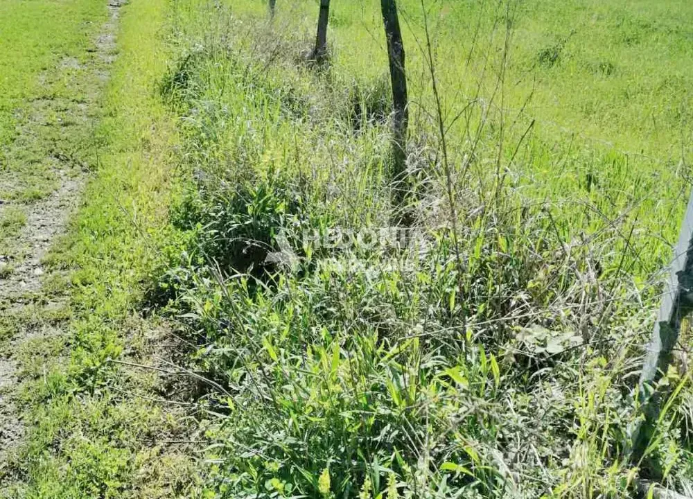 Prodaja, plac, Stepojevac, Lazarevac