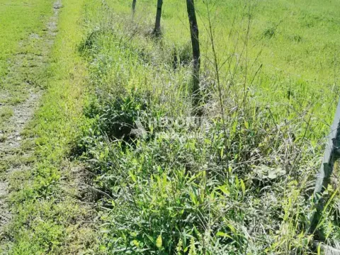 Sale, land lot, Stepojevac, Lazarevac