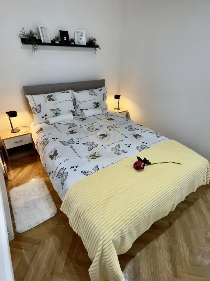 Rent, two bedroom apartment, 43m², Vračar Sve Podlokacije, Beograd