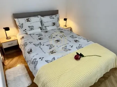 Rent, two bedroom apartment, 43m², Vračar Sve Podlokacije, Beograd - image 7