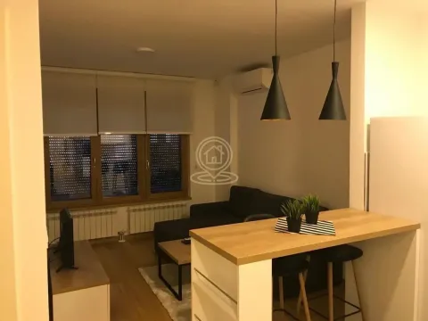 Izdavanje, dvosoban stan, 35m², Južni Bulevar, Vračar Sve Podlokacije - image 3