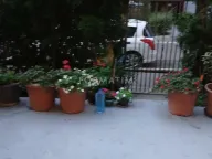 Prodaja, dvosoban stan, 55m², Banjica, Voždovac Sve Podlokacije - image 9