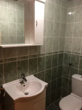 Small bathroom with a sink, mirror, and toilet, tiled in green. - image 12