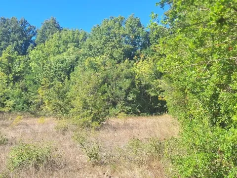 Prodaja, plac, 13750m², Utjeha, Bar - image 8