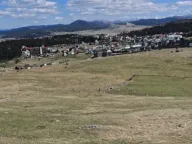 Sale, land lot, 667m², Pitomine, Žabljak - image 7