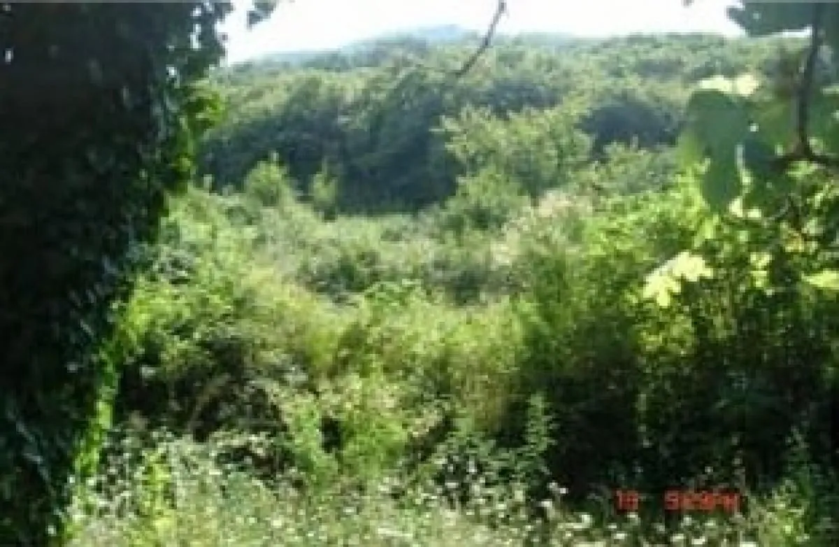 Prodaja, plac, 5900m², Kostanjica, Kotor