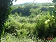 Sale, land lot, 5900m², Kostanjica, Kotor - image 3