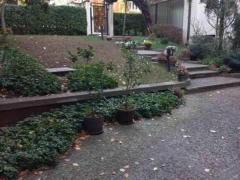 Izdavanje, poslovni prostor, 188m², Neimar, Vračar Sve Podlokacije - image 19