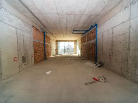 Izdavanje, poslovni prostor, 112m², Stari Aerodrom, Podgorica - image 4