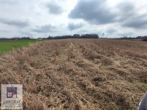 Sale, land lot, 150m², Jasenak, Obrenovac - image 6