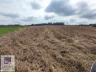 Prodaja, plac, 150m², Jasenak, Obrenovac - image 6