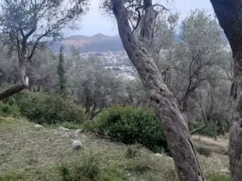 Prodaja, plac, 1604m², Velembusi, Bar - image 2