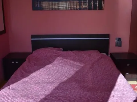 Izdavanje, kuća, 250m², Petrovaradin, Novi Sad - image 12