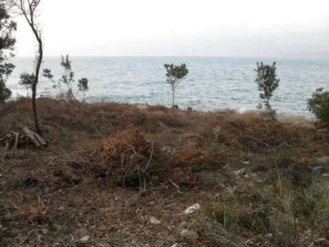 Prodaja, plac, 3781m², Hladna Uvala, Bar - image 5