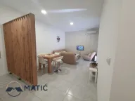 Izdavanje, jednosoban stan, 44m², Salajka, Novi Sad Sve Podlokacije - image 4