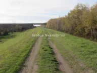 Prodaja, plac, 604m², Sremska Mitrovica, Srbija - image 2