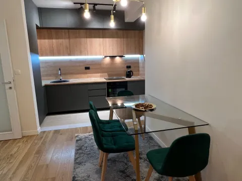 Rent, one bedroom apartment, 53m², Central Point, Podgorica - image 3