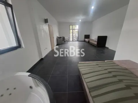 Izdavanje, poslovni prostor, 50m², Adice, Novi Sad Sve Podlokacije - image 6